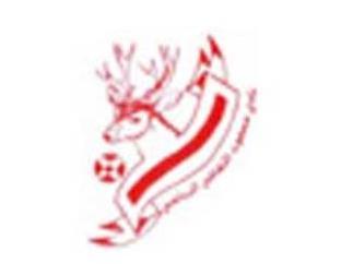 نادي مصفوت الثقافي الرياضي logo